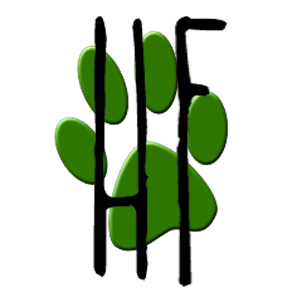 High Four Logo 2