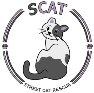 SCAT Street Cat Rescue