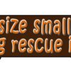 Size Small Dog Rescue