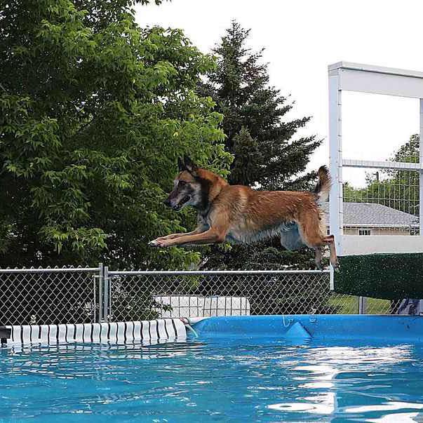 big splash prairie dog