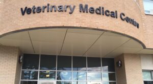 Veterinary Medical Centre (U of S WCVM – Small Animal Clinic)