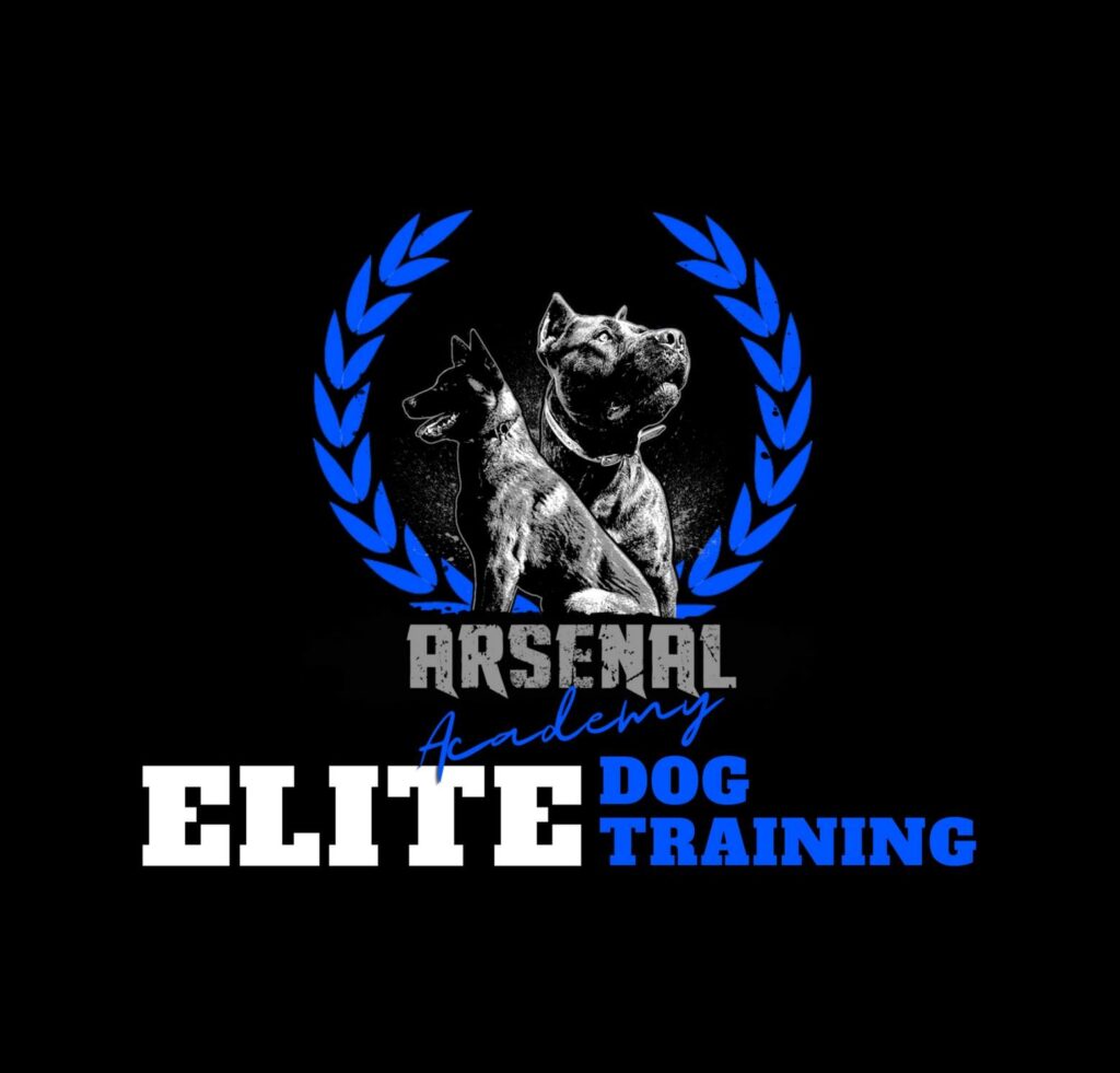 Arsenal Academy