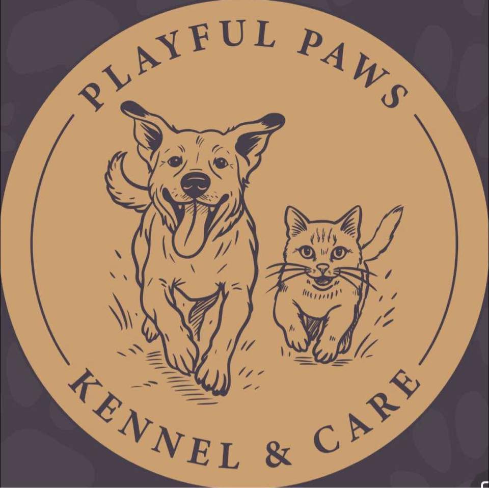 Playful Paws K&C (City)