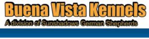 Buena Vista Logo