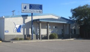 Central Animal Hospital