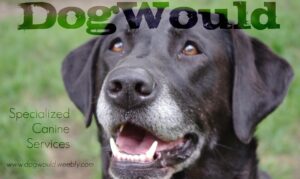 DogWould Logo