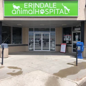 Erindale Animal Hospital
