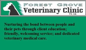 Forest Grove Veterinary Clinic