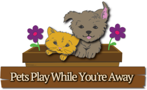 Pets Play While You’re Away Pet Care