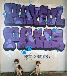 Playful Paws Pet Center (City Location)