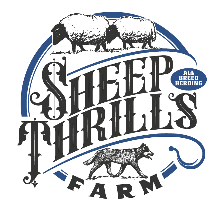 Sheep Thrills Farm Logo