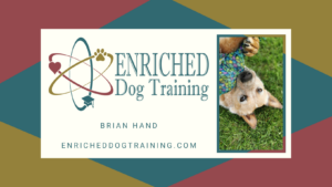 Enriched Dog Training