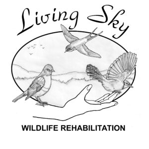 Living Sky Wildlife Rehabilitation