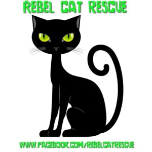 Rebel Cat Rescue