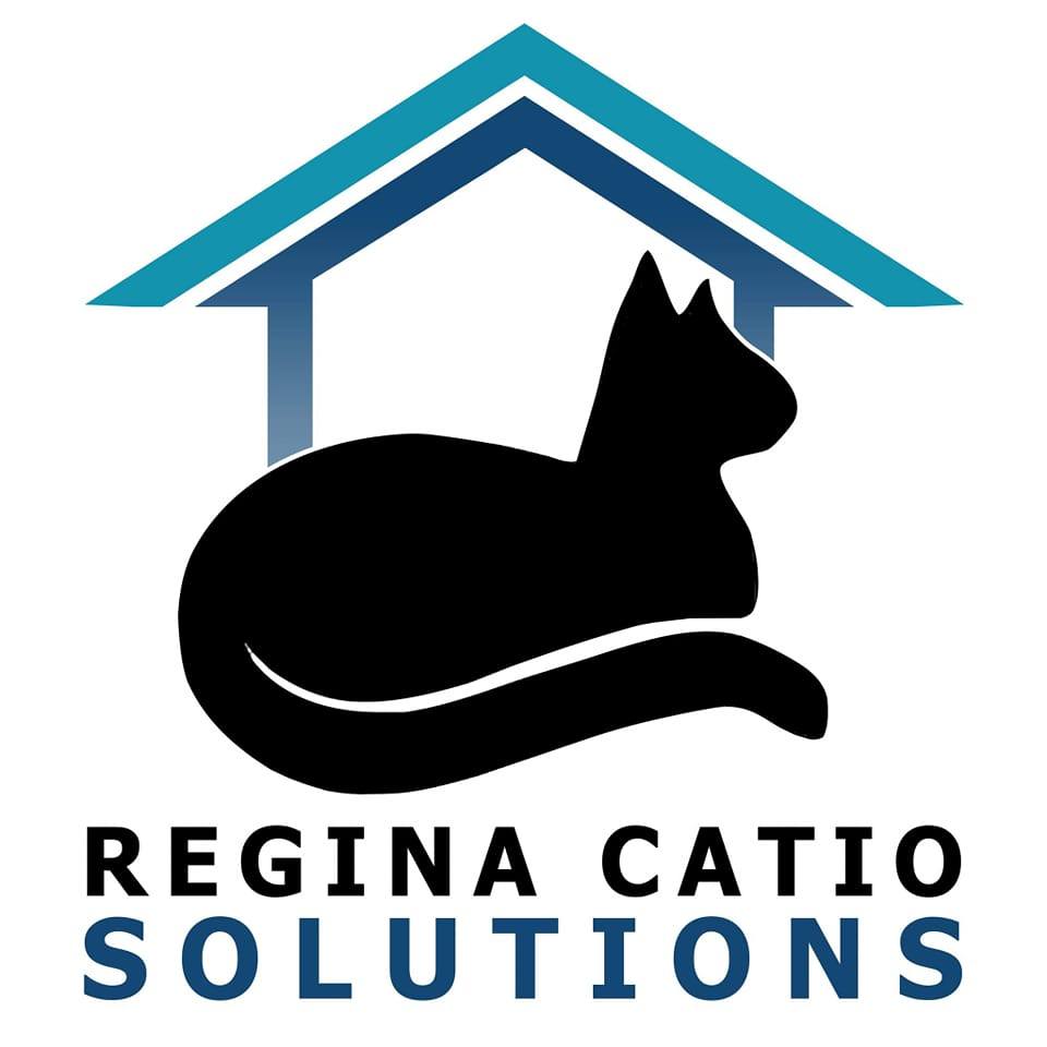 regina catio solutions logo