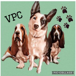 Valley Pet Care