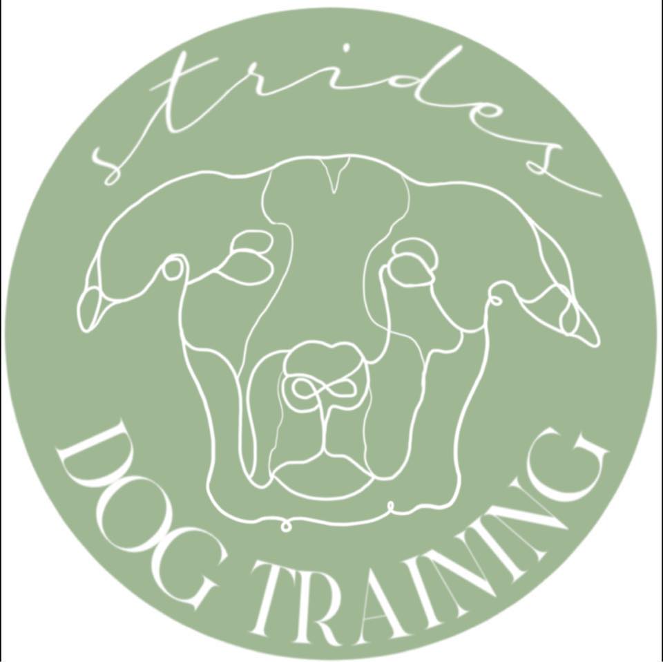 Strides Dog Training