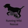Running Wild Rescue