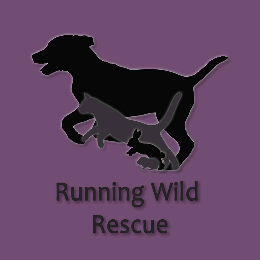 running wild rescue logo