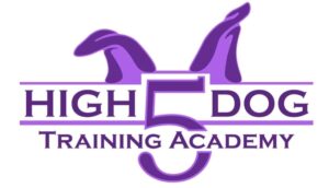 High Five Dog Training