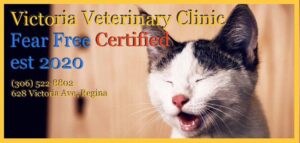 Victoria Veterinary Clinic