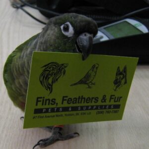 Fins, Feathers and Fur – Pets and Supplies