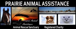 Prairie Animal Assistance