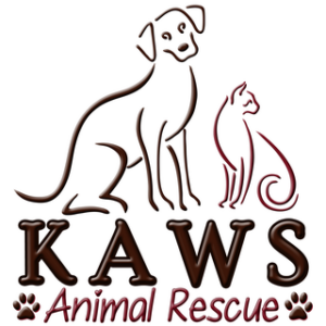 KAWS Animal Rescue