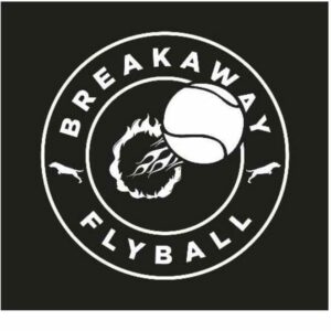 Breakaway Flyball