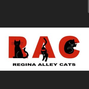 Regina Alley Cats