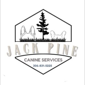 Jack Pine Canine