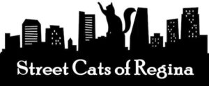 Street Cats of Regina