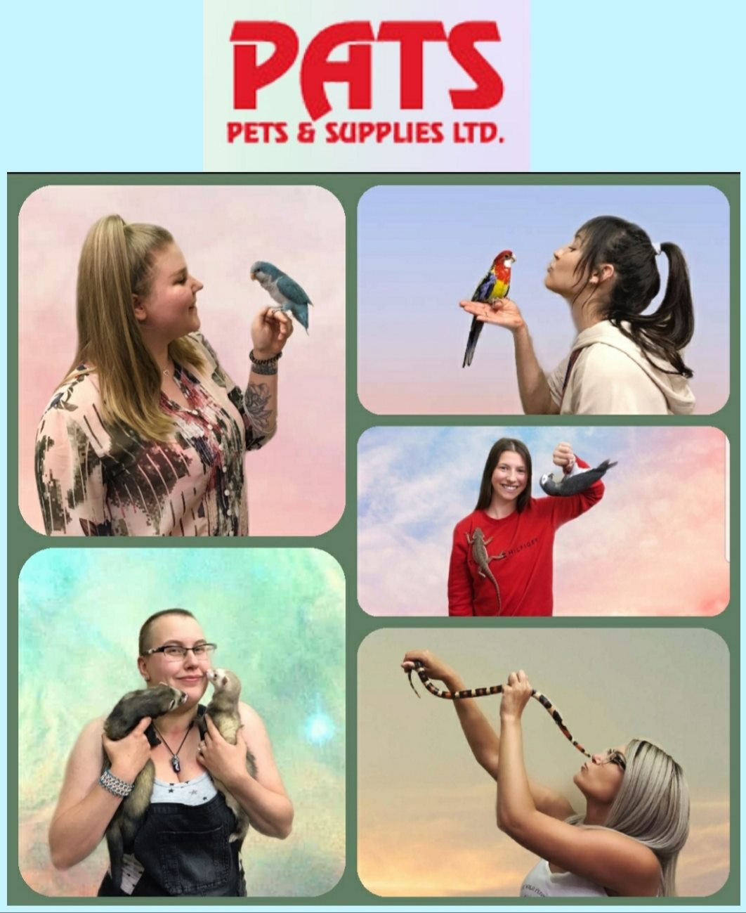 Pat's Pets and Supplies — SaskPets
