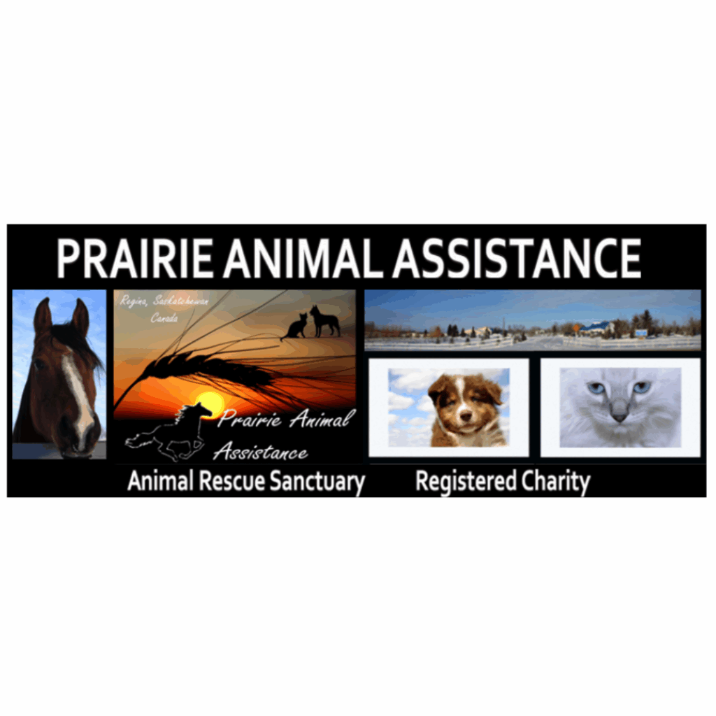 Prairie Animal Assistance