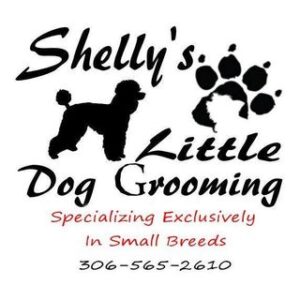 Shelly’s Little Dog Grooming