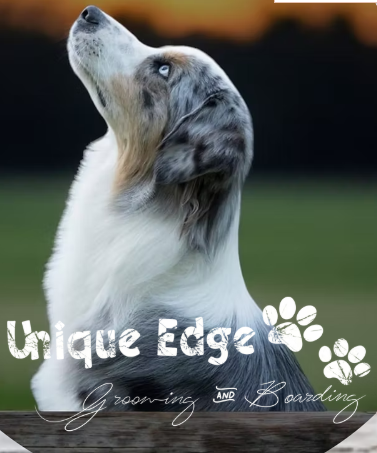 Unique Edge