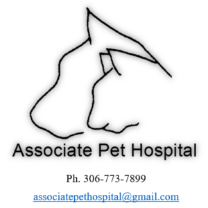 Associate Pet Hospital