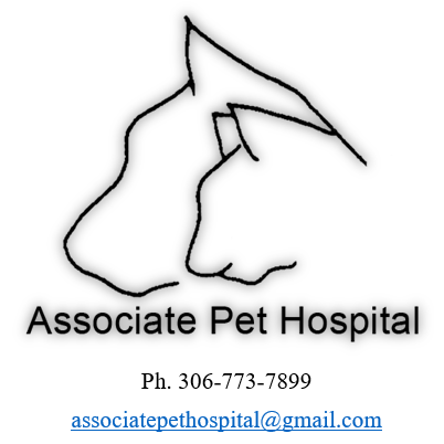 Associate Pet Hospital