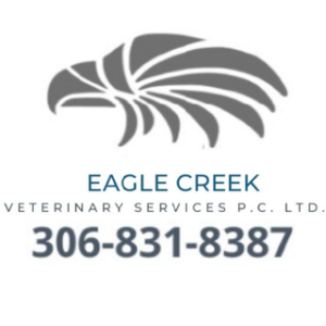 Eagle Creek Veterinary Services