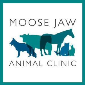 Moose Jaw Animal Clinic