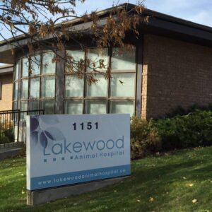 Lakewood Animal Hospital