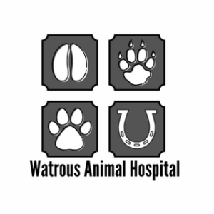Watrous Animal Hospital