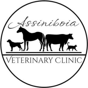 Assiniboia Veterinary Clinic