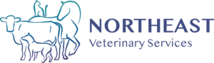 Northeast Veterinary Services