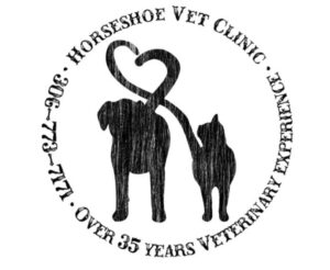 Horseshoe Vet Clinic