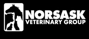 Rosthern Veterinary Clinic