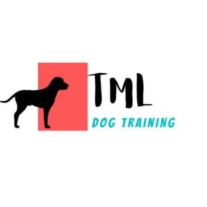 The Missing Link Dog Training