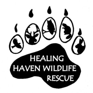 Healing Haven Wildlife Rescue Inc