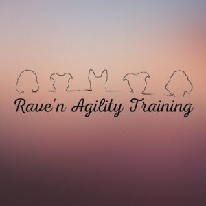 Rave’n Agility Training