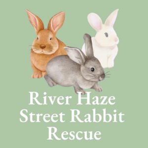 River Haze Street Rabbit Rescue